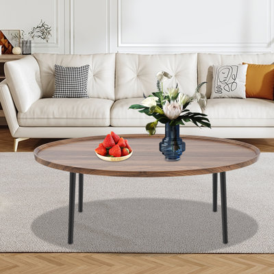 Oval Coffee Table With Open Storage, Coffee Table, Modern Coffee Table(47.2*23.62*18.89In) by George Oliver