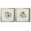 «Old Salt Shell I», ensemble de 2 reproductions d'art encadrées-2118285821-2126001041-2048829126