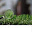 Browdy 20mm Pet-Friendly Artificial Grass for Patio Garden Lawn-1m(3'3") x 4m(13'1")-4m²