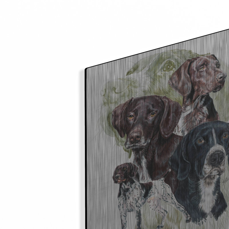 «German Short Haired Pointer» par Barbara Keith, H 16 po x l 12 po