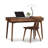 Catalina Writing Desk with Keyboard Tray-132610859