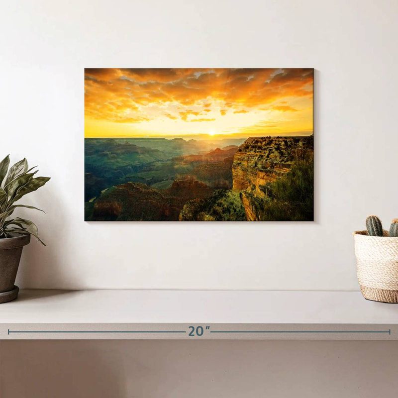Harpa Arizona, 8" H x 12" W