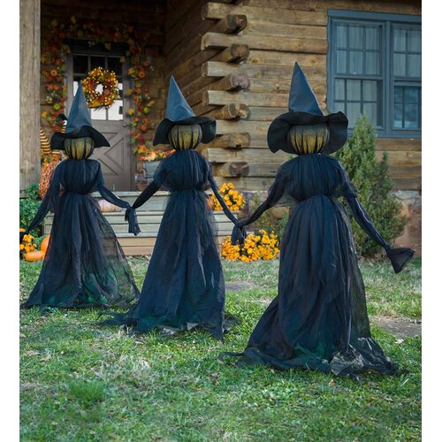 Plow & Hearth Lighted Halloween Witch Garden Stake & Reviews | Wayfair