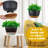 Hanging Planter