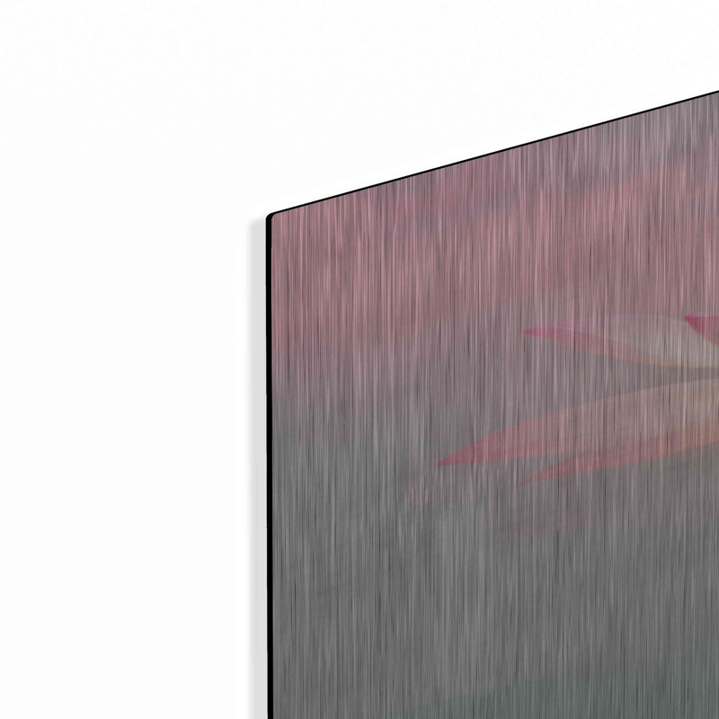 «Pink Passion» par Bahman Farzad - impression sans cadre sur métal, H 36 po x l 24 po x P 0,13 po