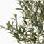 ARBRE D'OLIVE ARTIFIQUE 120CM