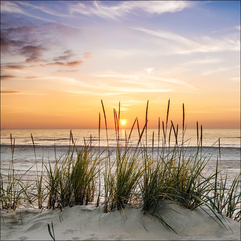 Lonely Dune - No Frame Print on Glass, 80cm H x 80cm W x 0.5cm D
