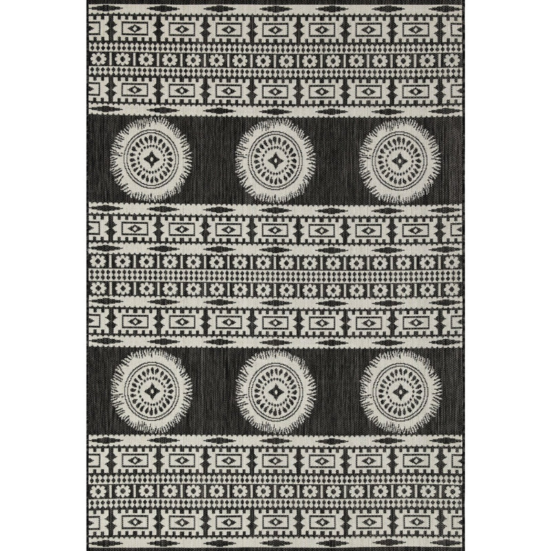 2 pi 7 po X 3 Gchar2023 Tapis anthracite Sunshine - Tapis intérieur / extérieur en polypropylène pour teinture et équipement pour animaux 2,7 7,3 po