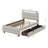 Twin Size Upholstered Platform Bed With LED Frame And 2 Drawers-110439757