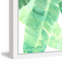 « banane leave fans ii », reproduction d’art encadrée-22988194
