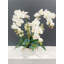 Arrangement d'orchidées Malden dans un vase