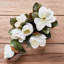17.5-Inch Magnolia Stem