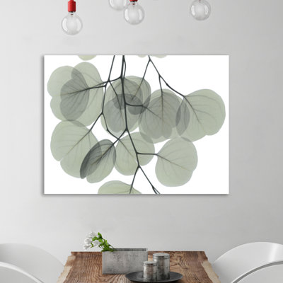" Descending Eucalyptus 5 "