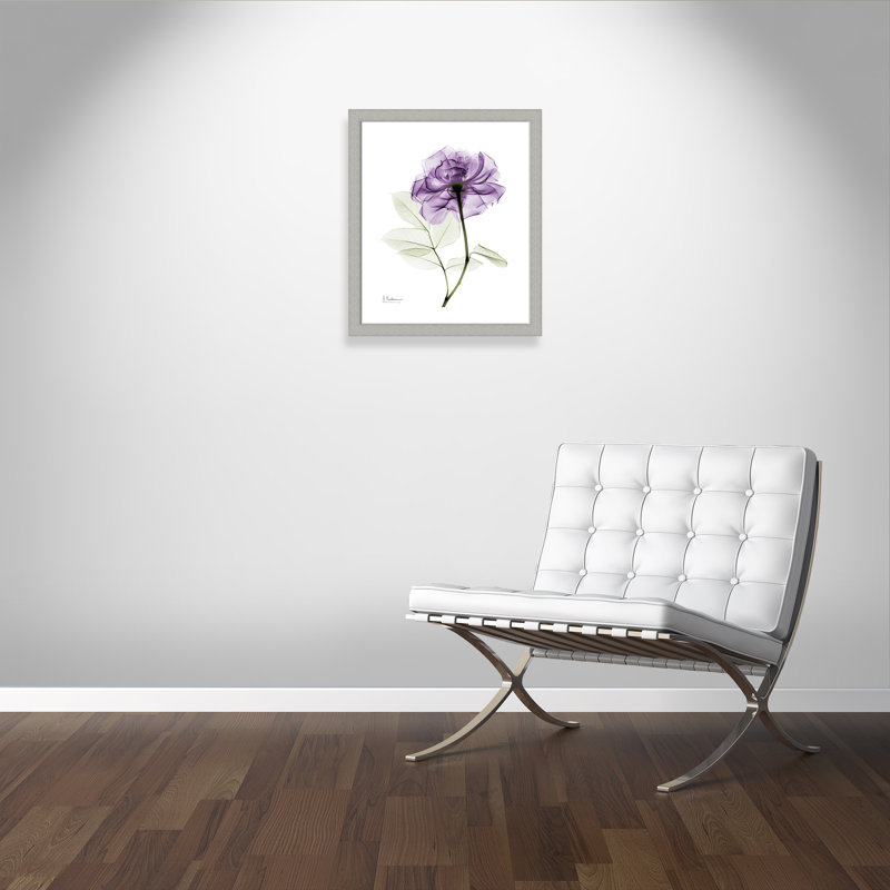 Derald 'Purple Rose II' Framed Print