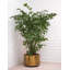Jasper Handmade Metal Planter-62068654