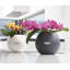 Pot Planter-275699180-348833401