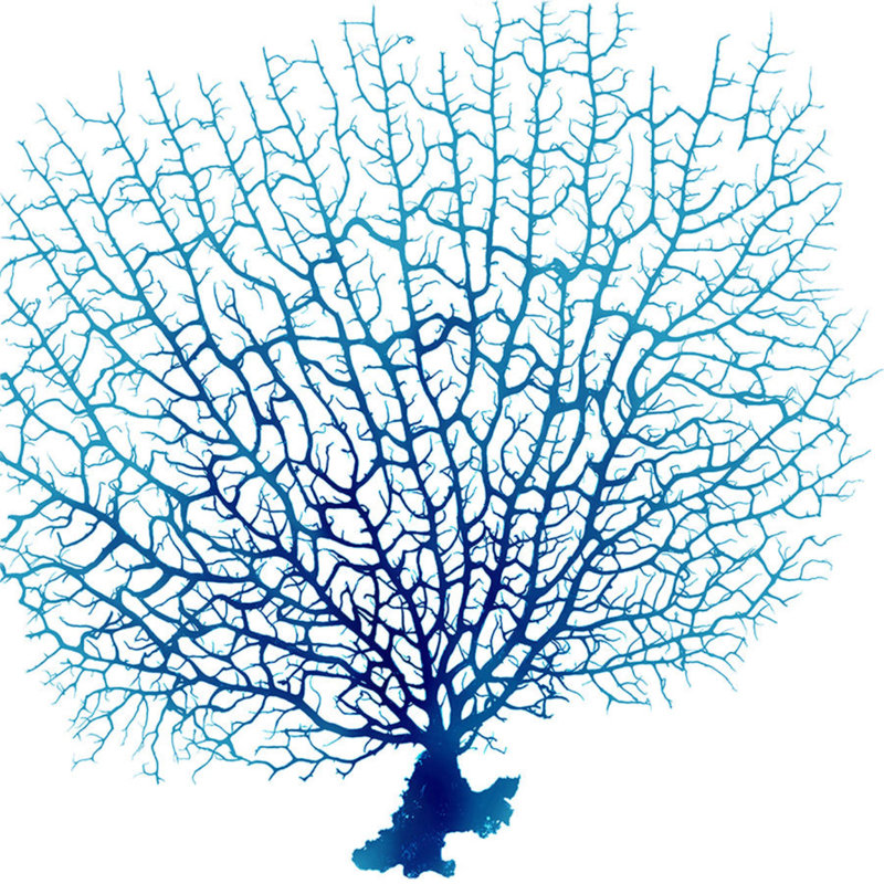 Blue Seafan Coral IV Print by Sofia Fox, Plexi, 40" H x 40" W