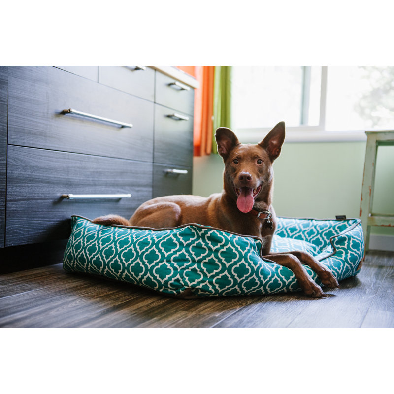 Lit pour chien marocain , Petit (l 24 po x P 19 po x H 7 po), Bleu sarcelle