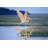 36'' H Metal Weathervane