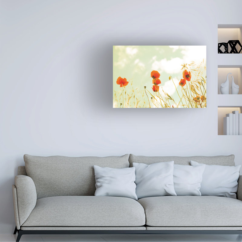Art sur toile Coquelicots et ciel Aledanda, H 22 po x l 32 po