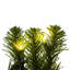 One Allium Way® 42" Deluxe Sequoia Pine Wreath WA 200WW-27501287