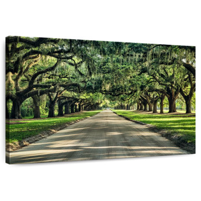 Harnek Canopy Trees