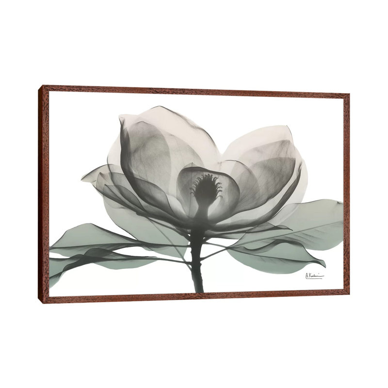 Sage Magnolia I by Albert Koetsier - Print on Canvas, 101.6 cm H x 66.04 cm W, Classic Brown Wood Framed