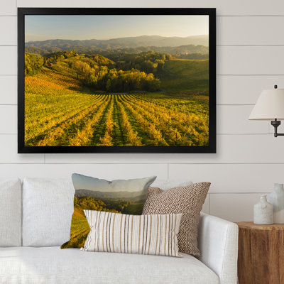 Vineyard Sunset Landscape - Décoration murale traditionnelle sur toile