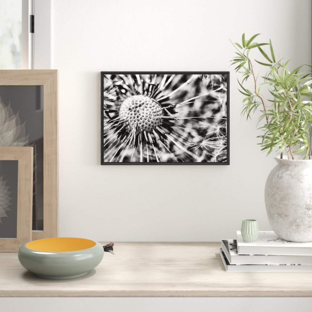 Gerahmtes Wandbild Pusteblume