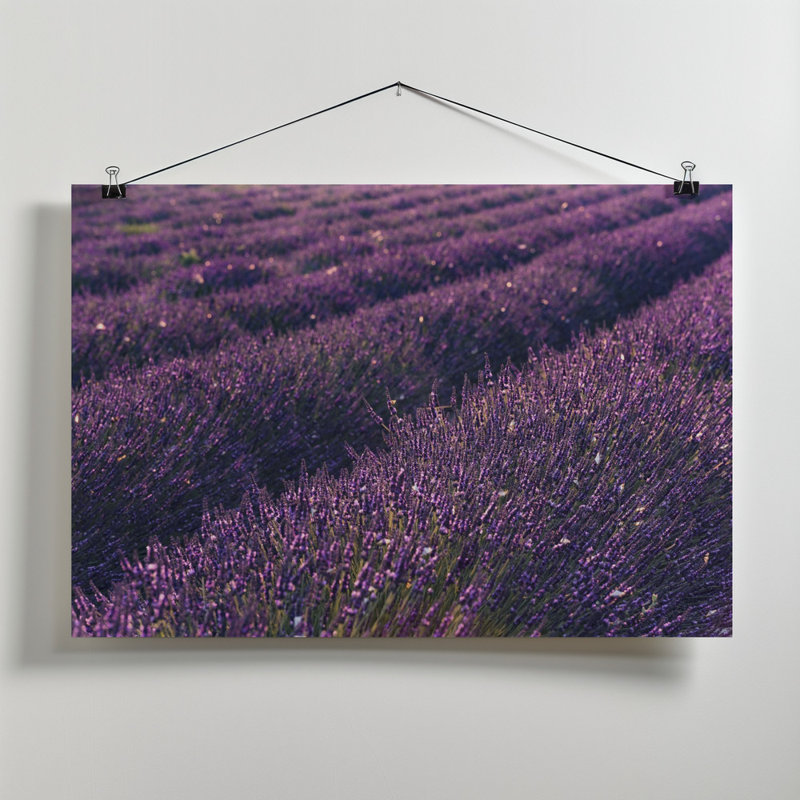 Wrapped Canvas Print, 50.8cm H x 76.2cm W