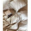 Olathe Solid Colour Duvet Cover Set with Pillowcases-597398985