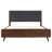 Platform Bed-1115668287