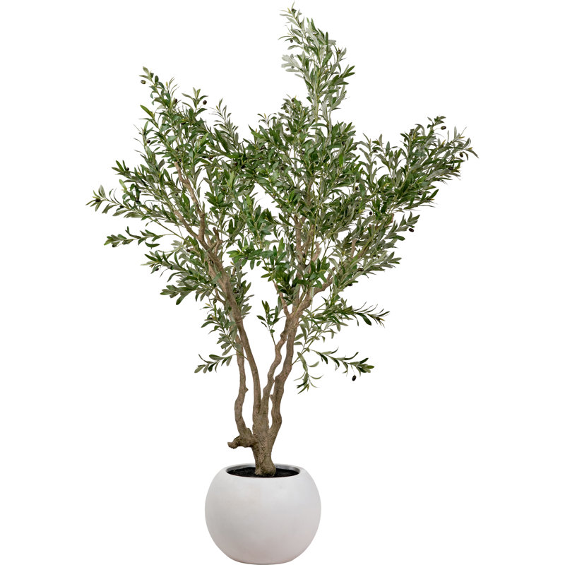 250cm Faux Tree in Cement Pot