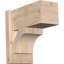 Sapin Douglas-113998552-109329452
