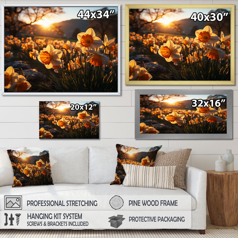 Daffodils Field Sunrise III - Floral Wall Art Prints, H 16 po x l 32 po, Cadre flottant doré