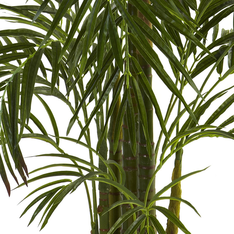 Areca Palm Tree in Pot, 30" H x 24" W x 24" D