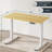 Electric Adjustable Height Standing Desk-2095498930-2095498939