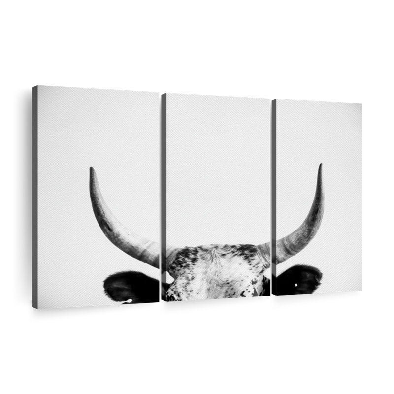 " Cow Horns " 3 - Pieces, 28" H x 45" W x 1.25" D
