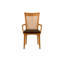 Sarah Upholstered Arm Chair-20804152-20804144