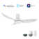 Ryna Smart Ceiling Fan with Remote, Light Kit Included,Works with Google Assistant and Amazon Alexa,Siri Shortcut.