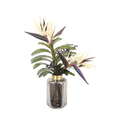 Black Bird of Paradise in Smoke Vase