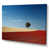 Wrapped Canvas