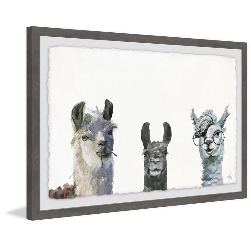 Art encadré Agawam Llama Squad, H 8 po x l 12 po, Cadre brun