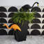 Ensemble d'ornement de peluche Spooky Spooky Halloween Flamingo