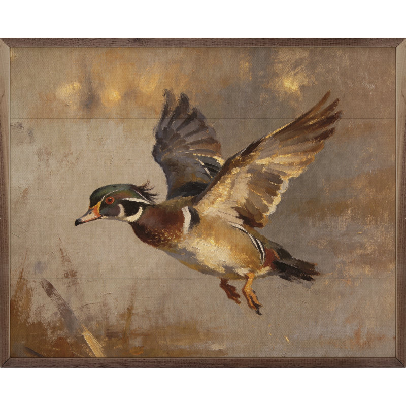 Canard en bois en vol au-dessus d'un étang, H 16 po x l 20 po