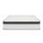 Wayfair Sleep 8" Medium Euro Top Innerspring Mattress-1780934713