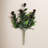 Berry Ficus Bush
