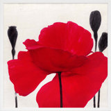 Red Poppy 2 Print by Ivo Stoyanov