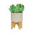 S/2 5/8" PLANTER W/ WOOD STAND
