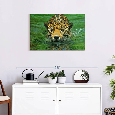 Brampt nageant Jaguar